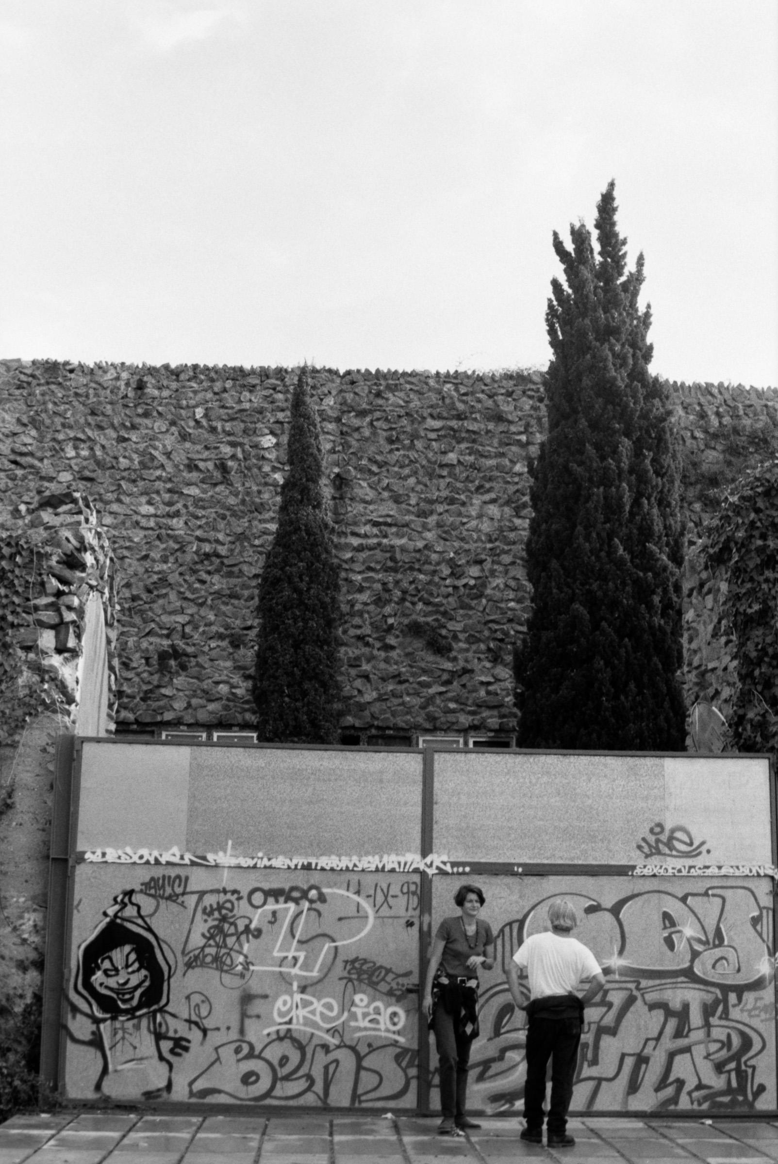 AHP F1995 10 001 sc240815 img34 NLP